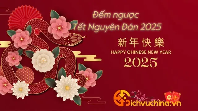 Countdown chinese new year 2025